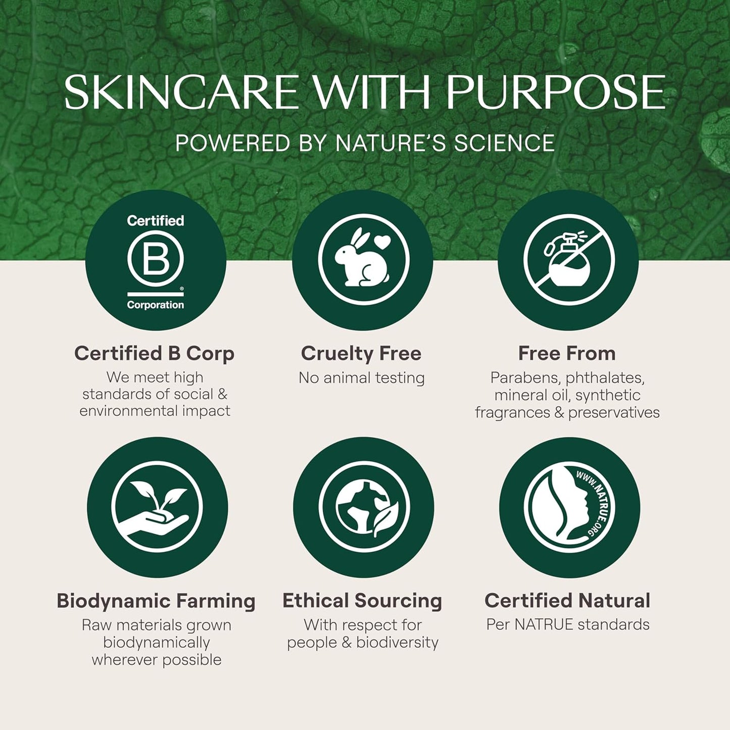 Weleda Skin Food Original Ultra-Rich Body Cream | 2.5 oz